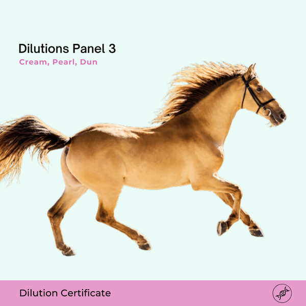 Dilutions Panel 3: Cream, Pearl & Dun