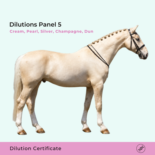 Dilutions Panel 5: Cream, Pearl, Silver, Champagne & Dun