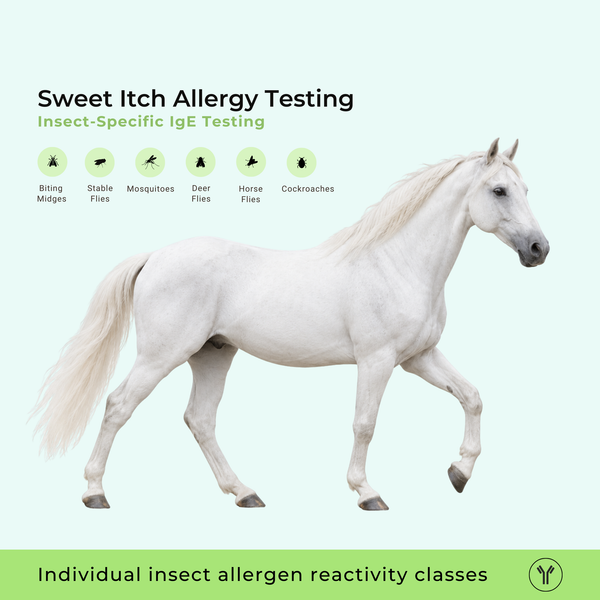 Test d'allergie au Sweet Itch
