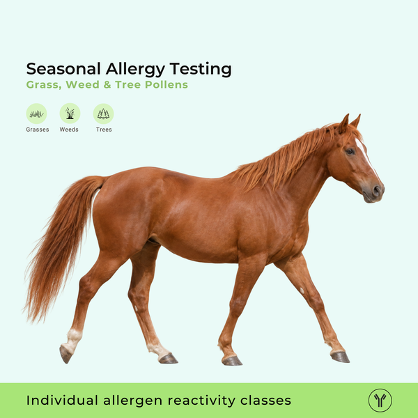 Test d'allergie saisonnière – Sensibilités au pollen chez les chevaux