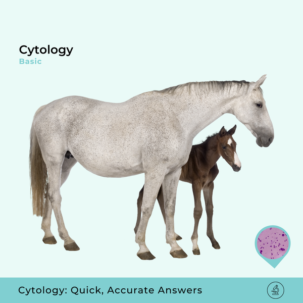 Basic Cytology