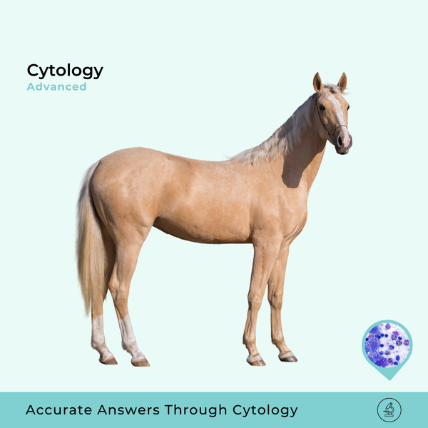 Advanced Cytology