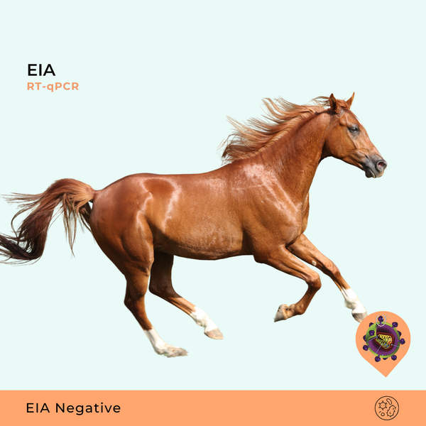Anemia Infecciosa Equina RTqPCR