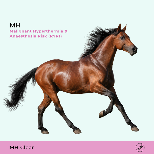 MH Hyperthermie maligne
