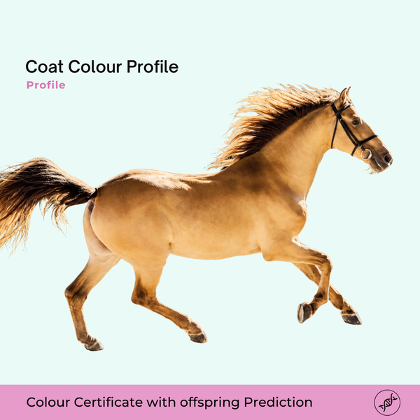 Profil de couleur de pelage