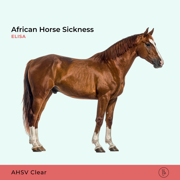 AHS African Horse Sickness, ELISA
