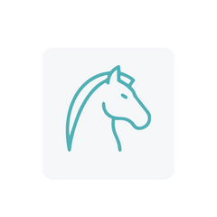 Collection image for: Horse