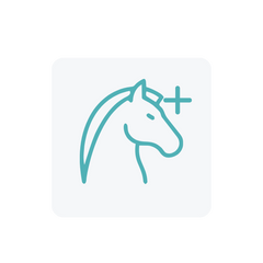 Collection image for: Horse Best Sellers