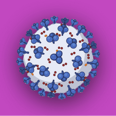 SARS-CoV-2 testing