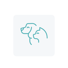 Collection image for: Cats & Dogs