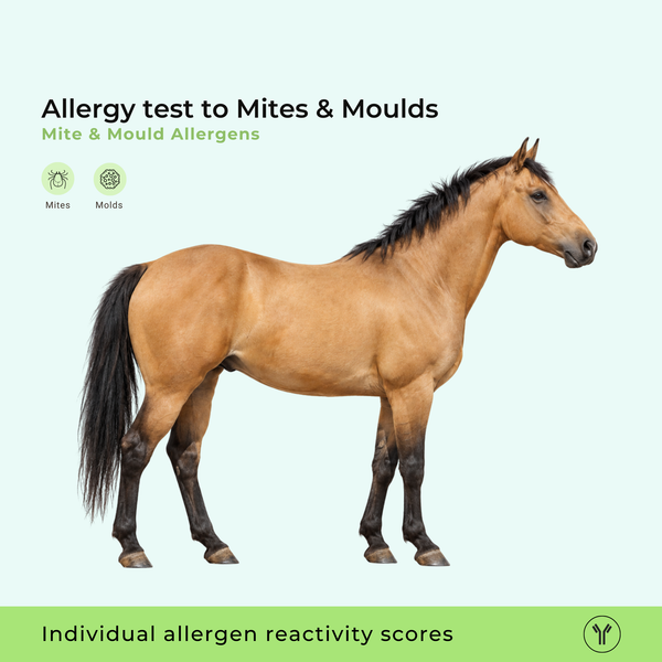 Test d'allergie aux acariens et moisissures