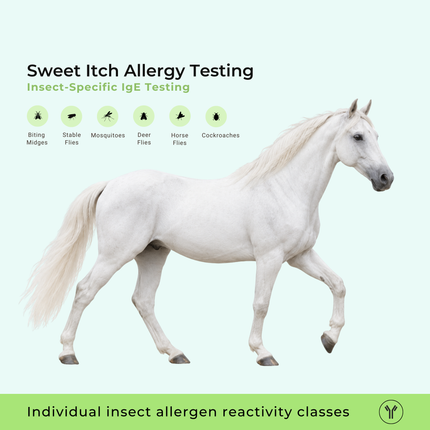 Test de alergia a Insectos