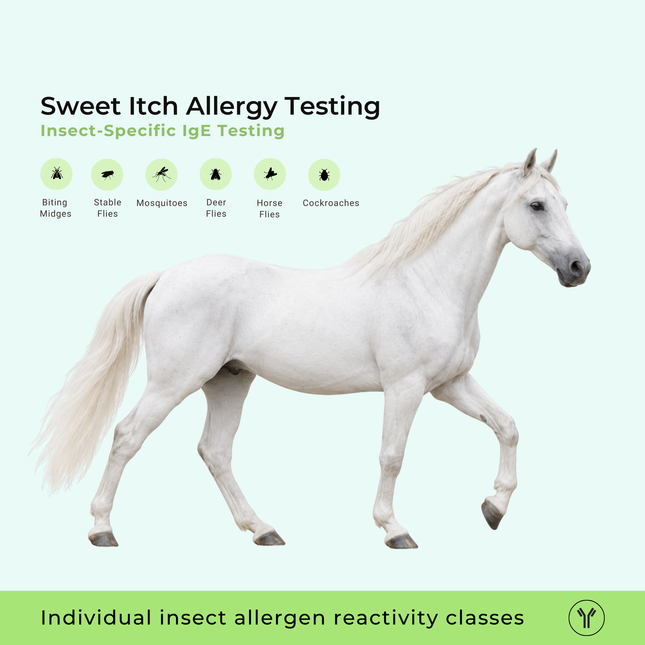 Allergietest voor zomereczeem