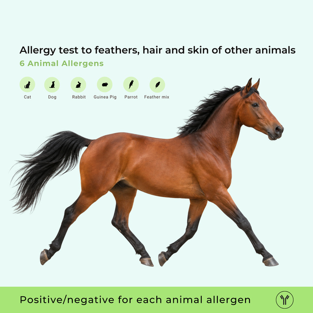 Allergietest voor veren, haren en huidschilfers van andere dieren