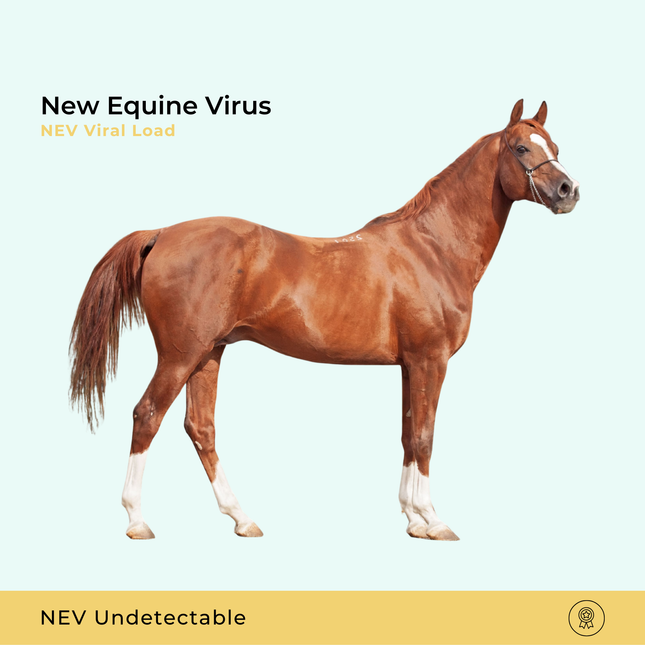 Virale lading van het nieuwe paardenvirus (NEV)