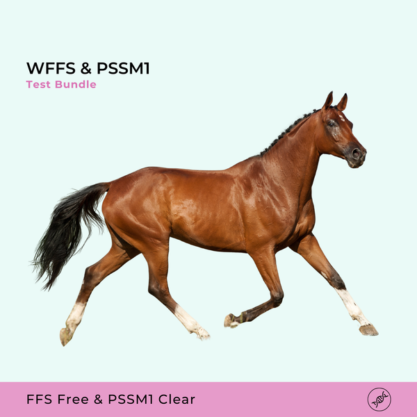 WFFS/FFS & PSSM1 - DNA Test bundle