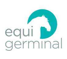 Equigerminal