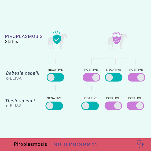 Equine Piroplasmosis cELISA