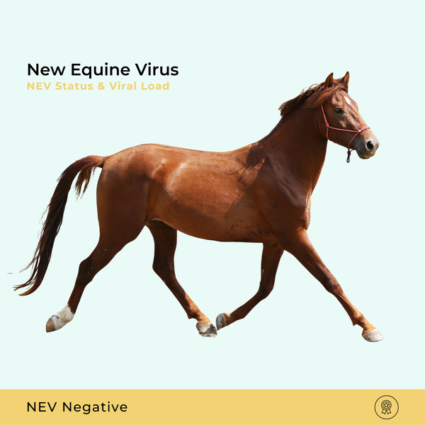 Nuevo estado del virus equino (NEV) y carga viral