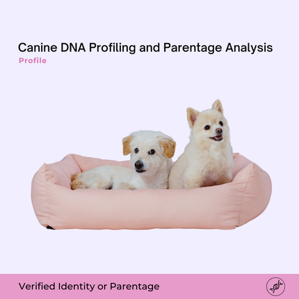 Perfil genético canino y análisis de parentesco