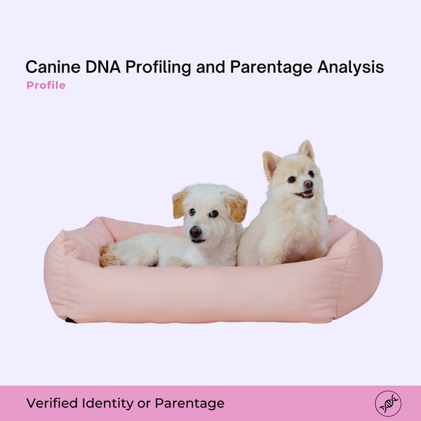 Canine DNA Profiling and Parentage Analysis