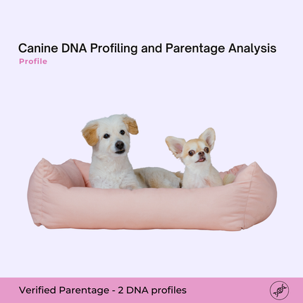 Perfil genético canino y análisis de parentesco