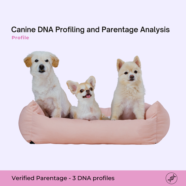 Canine DNA Profiling and Parentage Analysis