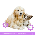 Parentage test (1 puppy + 1 Parent)