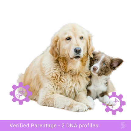 Mother dog with her puppy, highlighting the maternal bond pending DNA paternity verification
