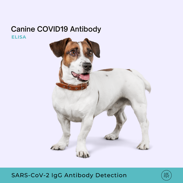 Canine COVID19 Antibody