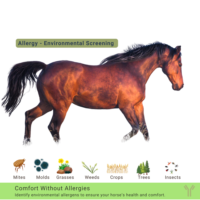 Comprehensive Allergy Panel