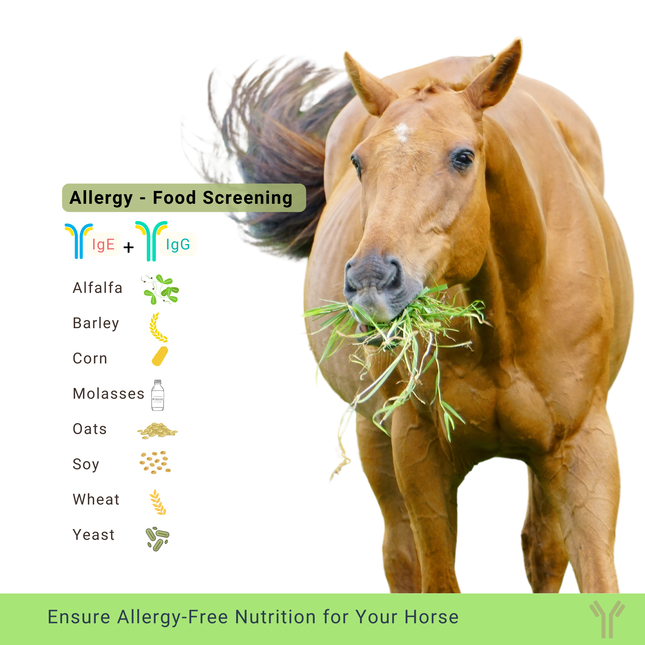 Allergy test for food allergens