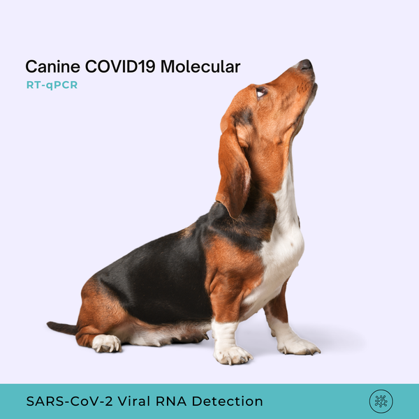 Canine COVID19 Molecular