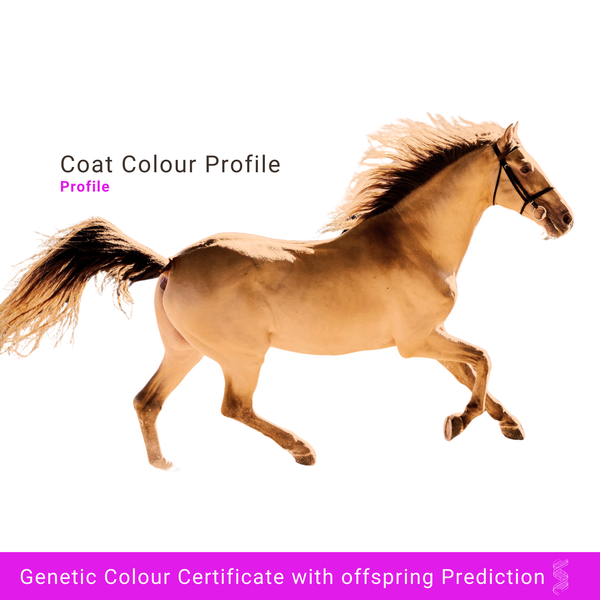 Coat colour profile