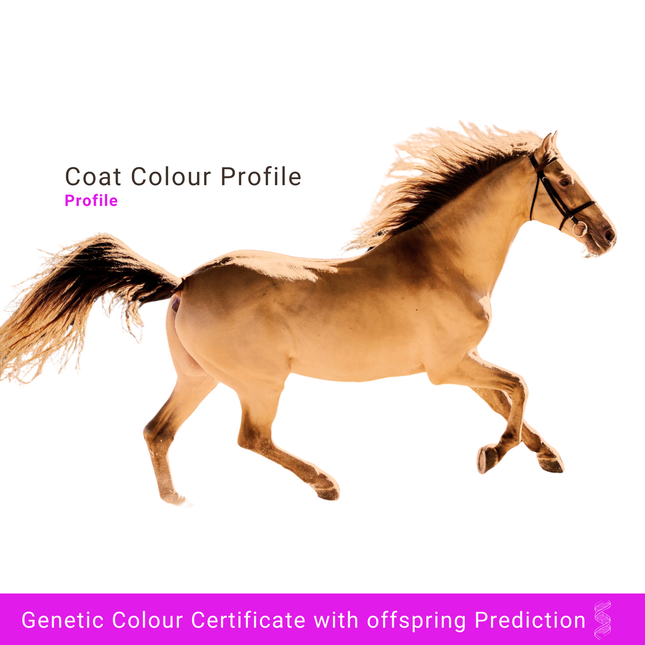 Coat colour profile
