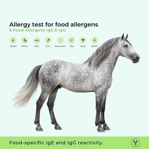 Test d'allergie aux allergènes alimentaires