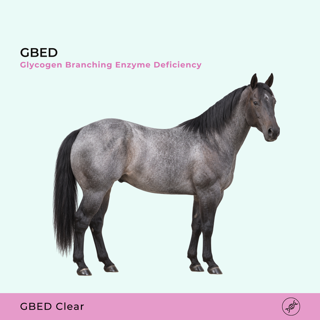 GBED Glycogen Deficiency Disorder