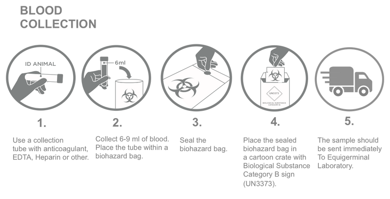 Sample collection diagram