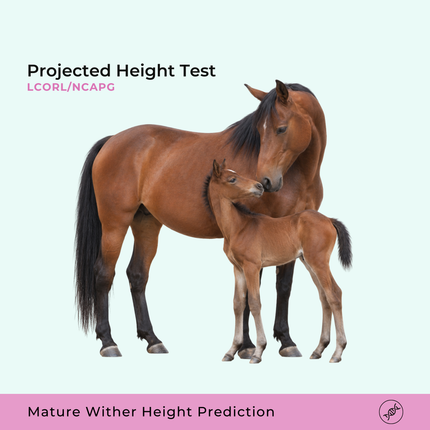 Projected Height Test