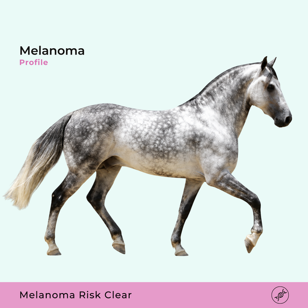 Mélanome