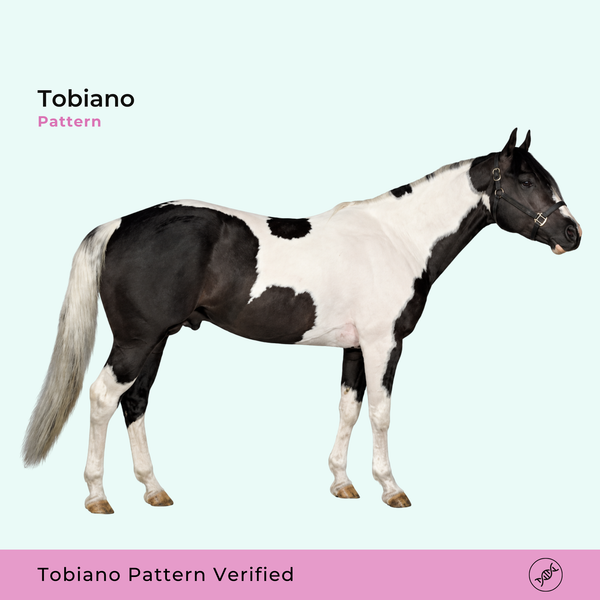 Motif de pelage tobiano