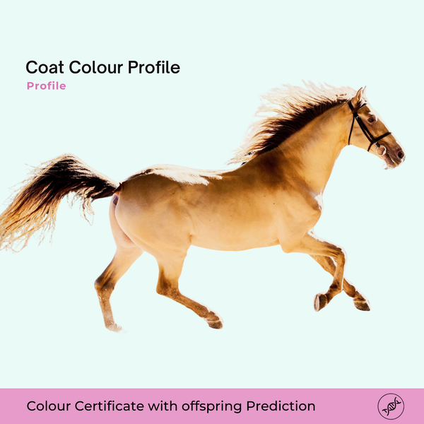 Coat colour profile