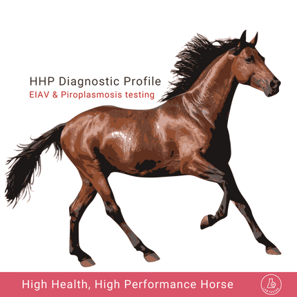 High Health High Performance Horse Profile