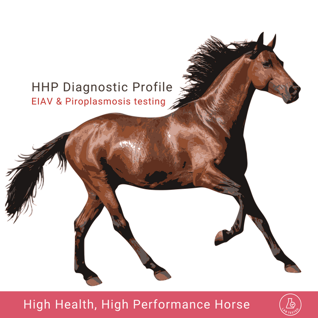 Test del profilo HHP