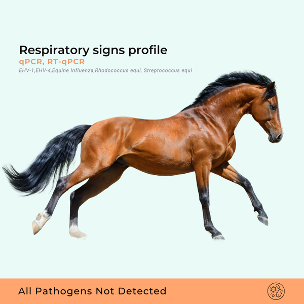Respiratory signs profile