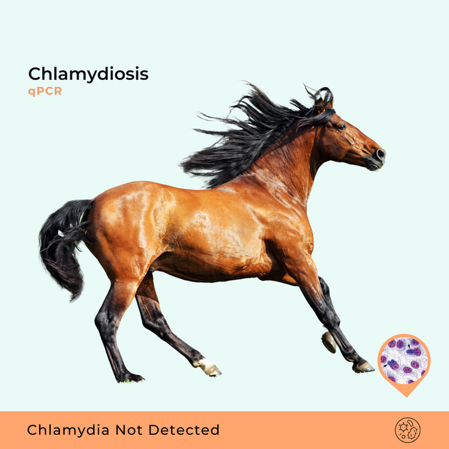 qPCR voor chlamydiose