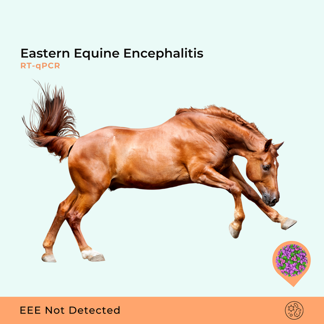 Oosterse paardenencefalitis, RT-qPCR