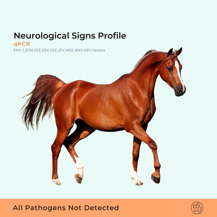Perfil de signos neurológicos