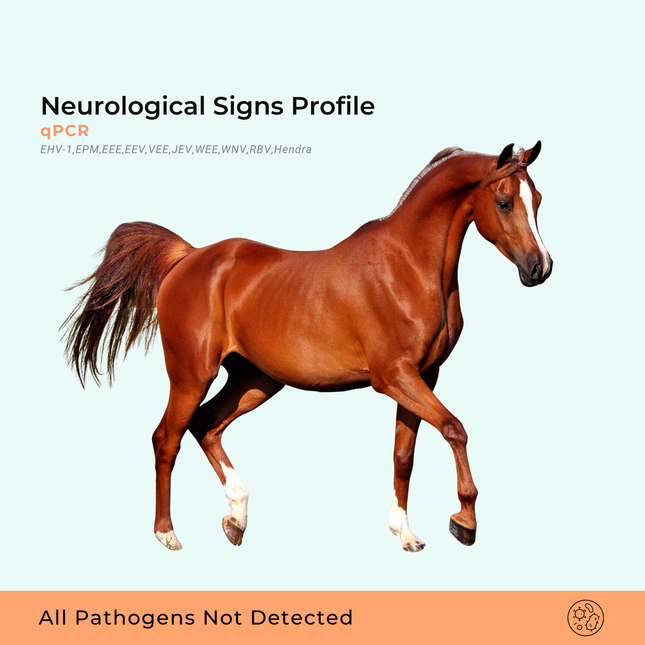 Profiel van neurologische symptomen
