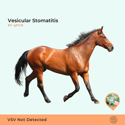 VE Estomatite Vesicular RT-qPCR